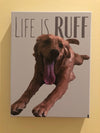 Pop art on canvas of adorable golden retriever puppy