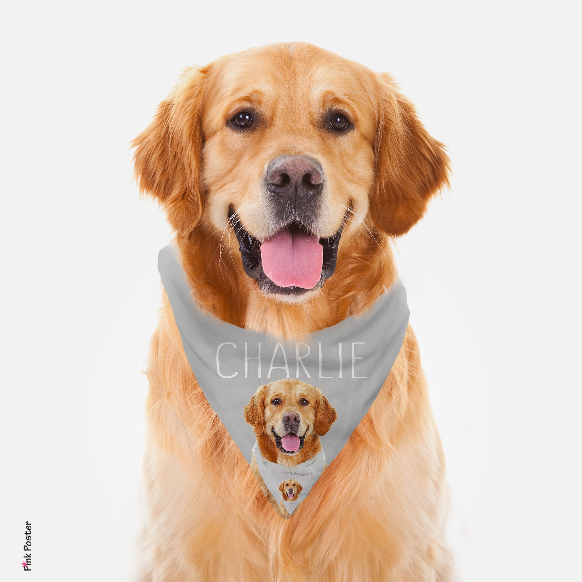 Create your own pet bandana with your photos