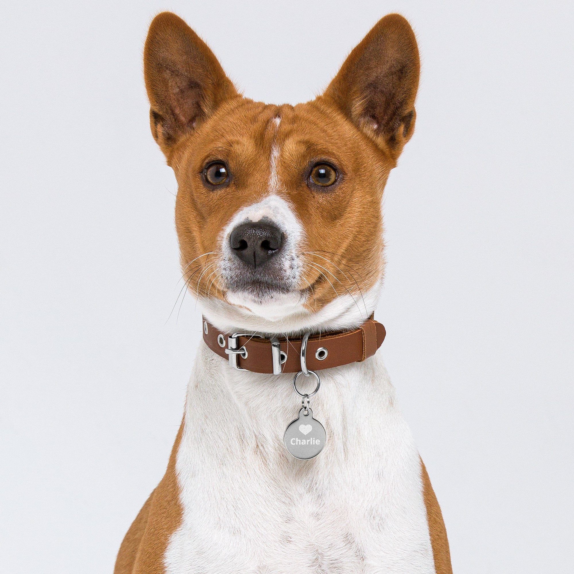 Custom pet tag silver