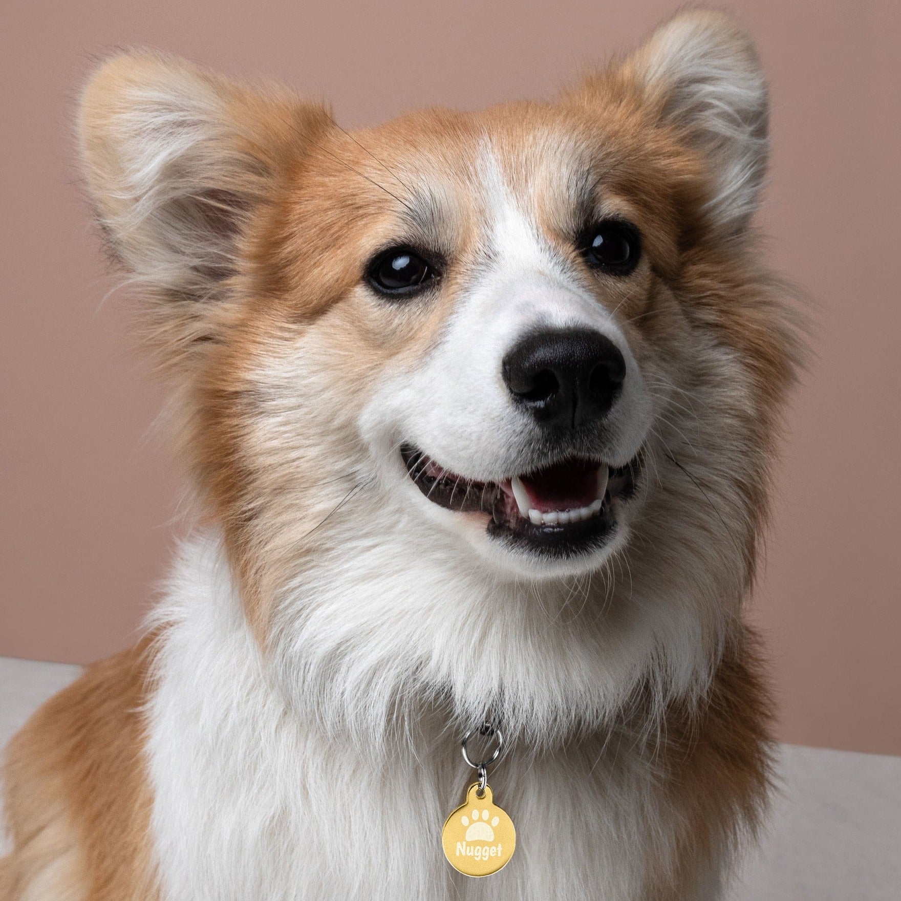 Pink Poster personalized dog tag gold