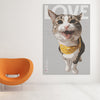 Turn your photos of your cat into fabulous art printed on poster